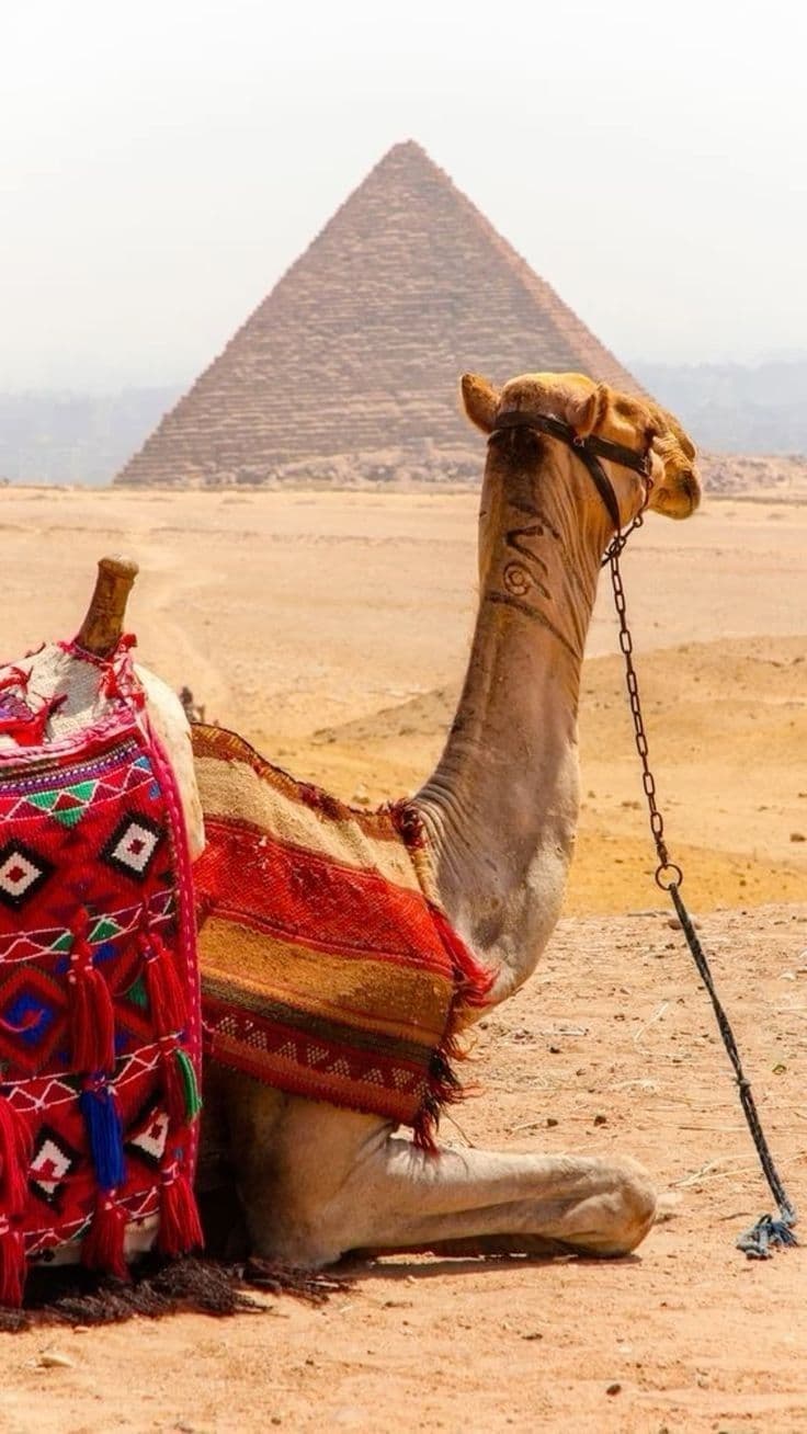 Hurghada to Cairo (By Flight)