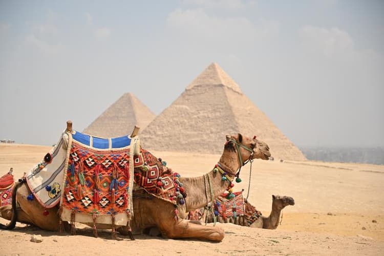 Cairo - Siwa