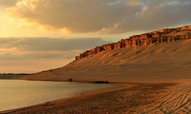 Cairo - Alexandria - Fayoum - The White Desert and  the Black Desert