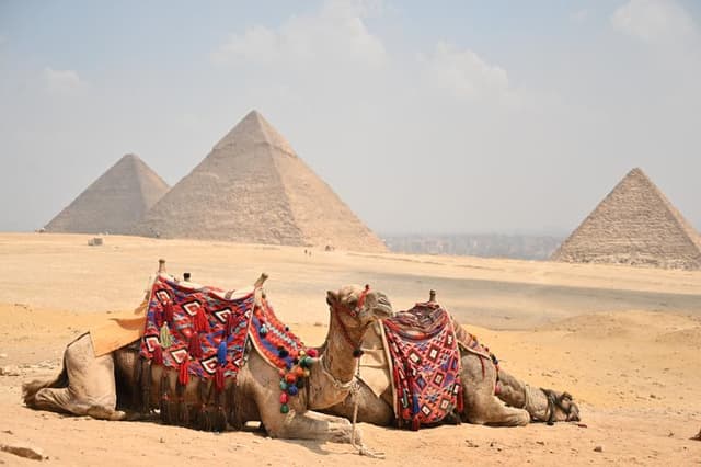 Cairo to Siwa